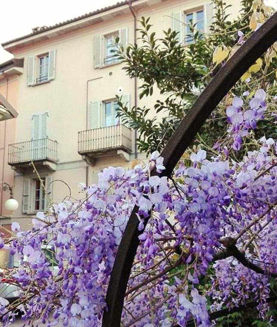 Casa Vacanze Stella Verbania Extérieur photo